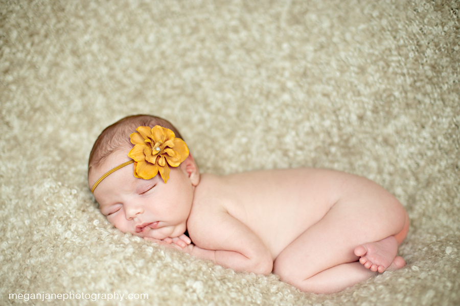 ashland_newborn_photographer