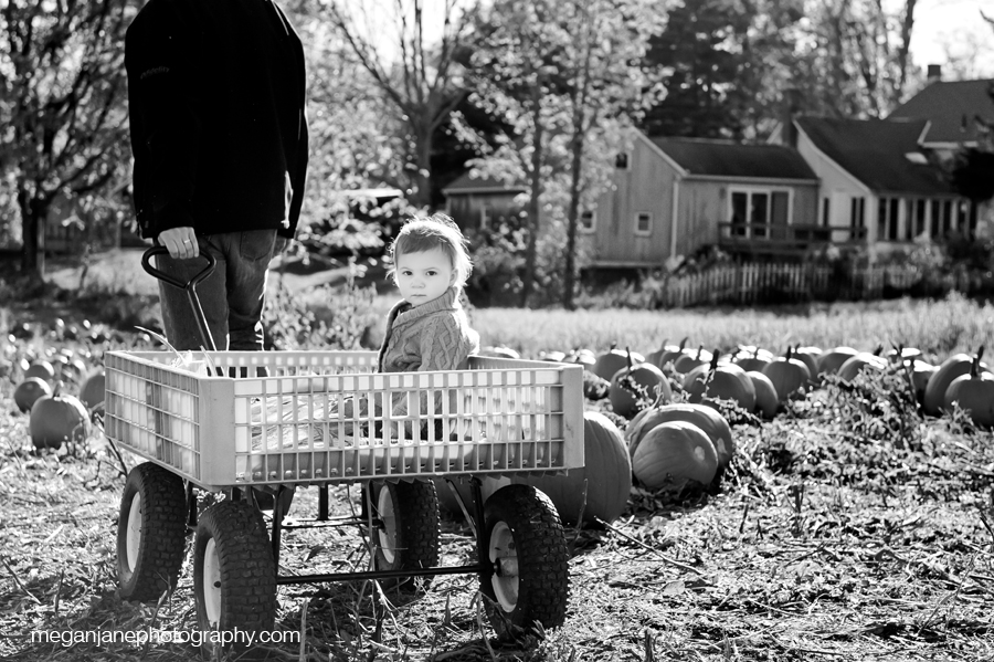 berkshires_child_photographer