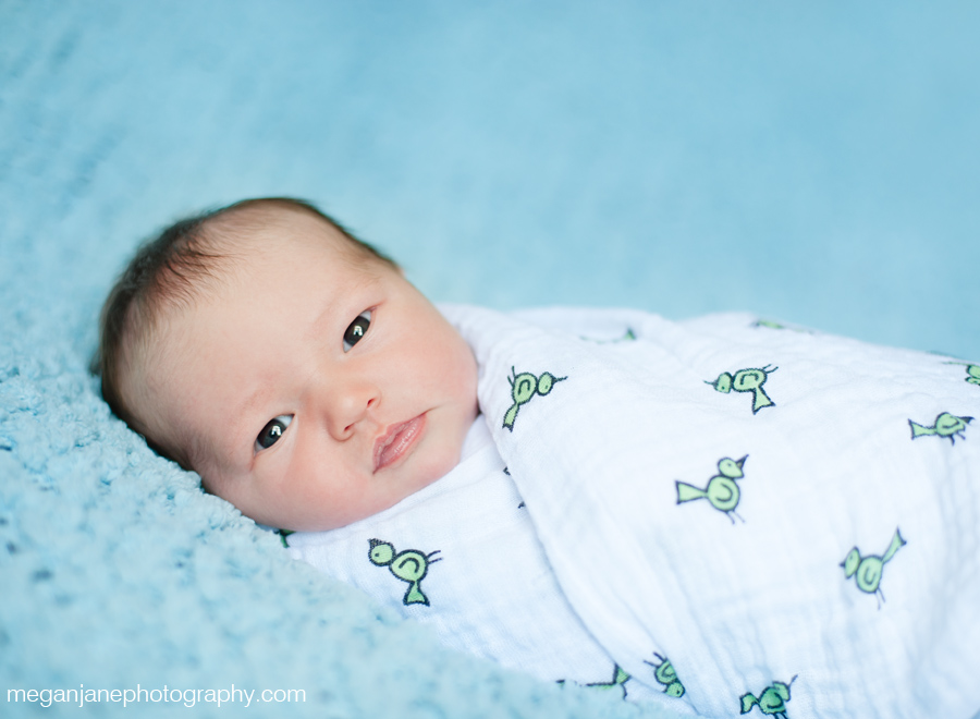 ashland_ma_newborn_photographer