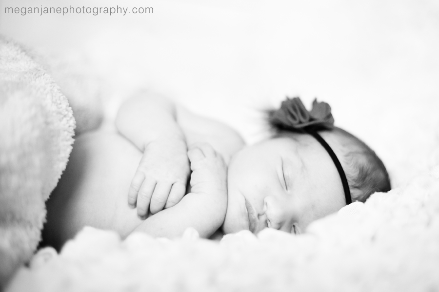 bridgewater_ma_newborn_photographer