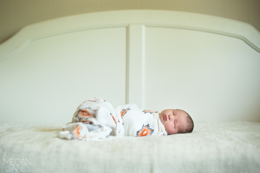 Framingham MA newborn photographer