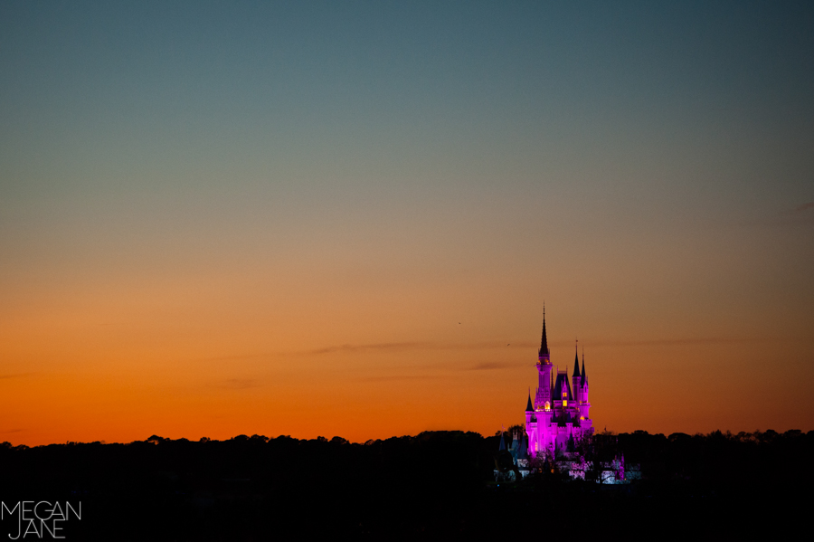 Cinderella Castle Magic Kingdom Disney World MeganJane Photography