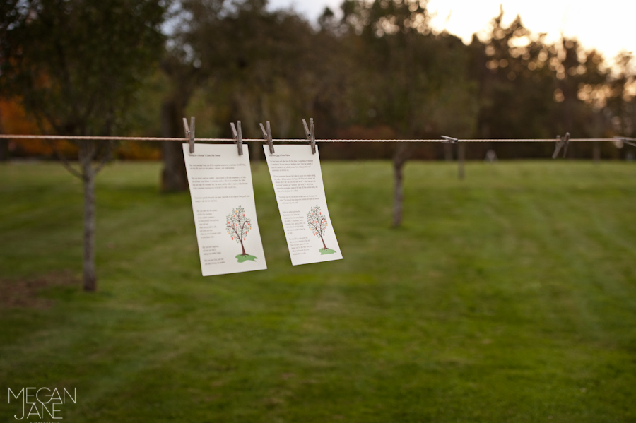 Eric Carle Museum wedding photographer