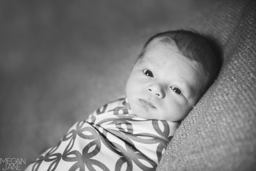 Boston MA newborn photographer