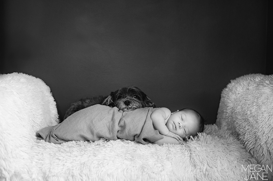 MeganJane Photography MA newborn photographer