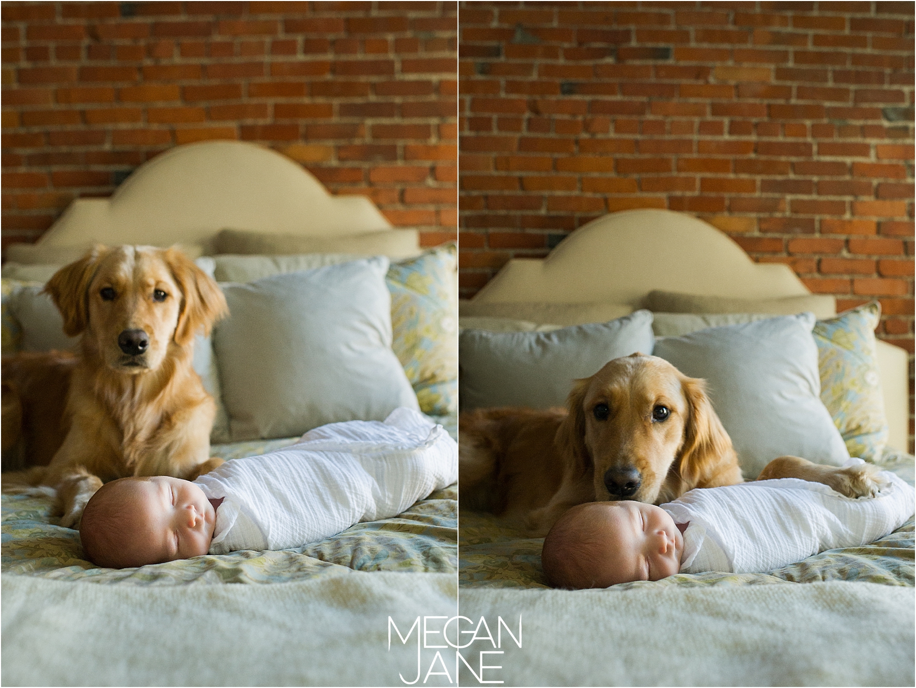 MeganJane Photography MA home newborn photographer